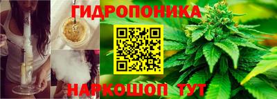 гидра Камышлов