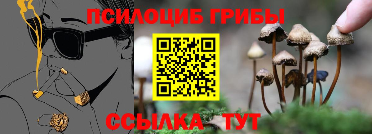 Псилоцибиновые грибы Cubensis Еманжелинск
